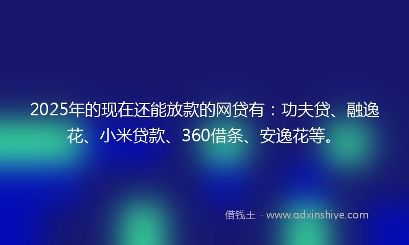 2025年的现在还能放款的网贷有：功夫贷、融逸花、小米贷款、360借条、安逸花等。