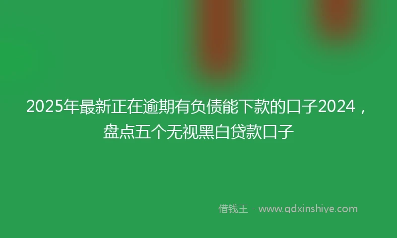 2025年最新正在逾期有负债能下款的口子2024，盘点五个无视黑白贷款口子