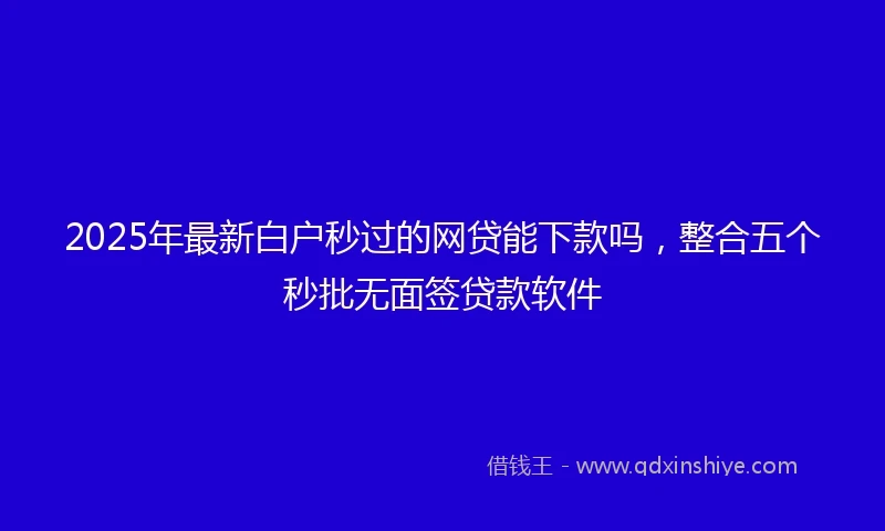 2025年最新白户秒过的网贷能下款吗，整合五个秒批无面签贷款软件