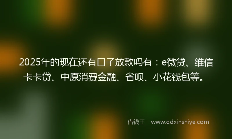 2025年的现在还有口子放款吗有：e微贷、维信卡卡贷、中原消费金融、省呗、小花钱包等。