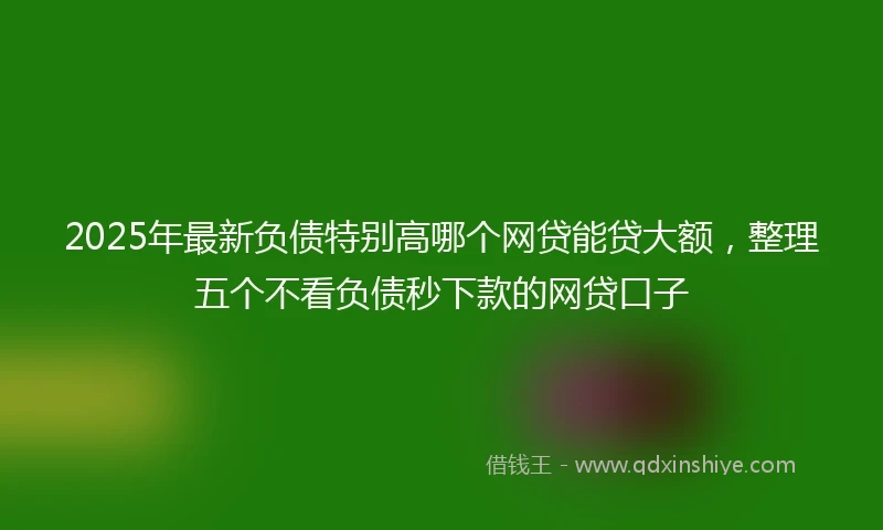 2025年最新负债特别高哪个网贷能贷大额，整理五个不看负债秒下款的网贷口子