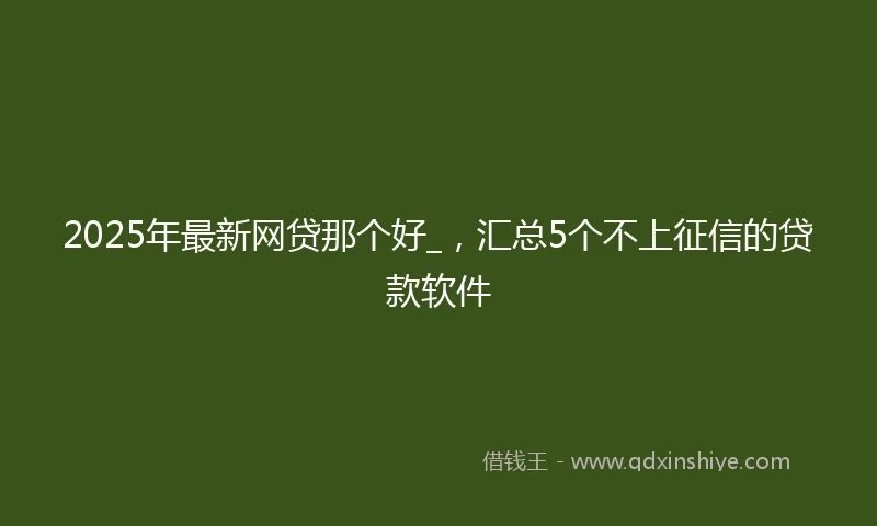 2025年最新网贷那个好_，汇总5个不上征信的贷款软件