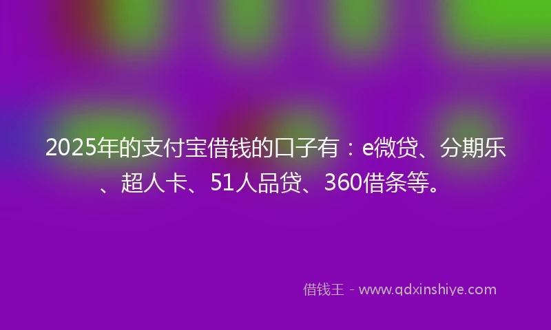 2025年的支付宝借钱的口子有：e微贷、分期乐、超人卡、51人品贷、360借条等。