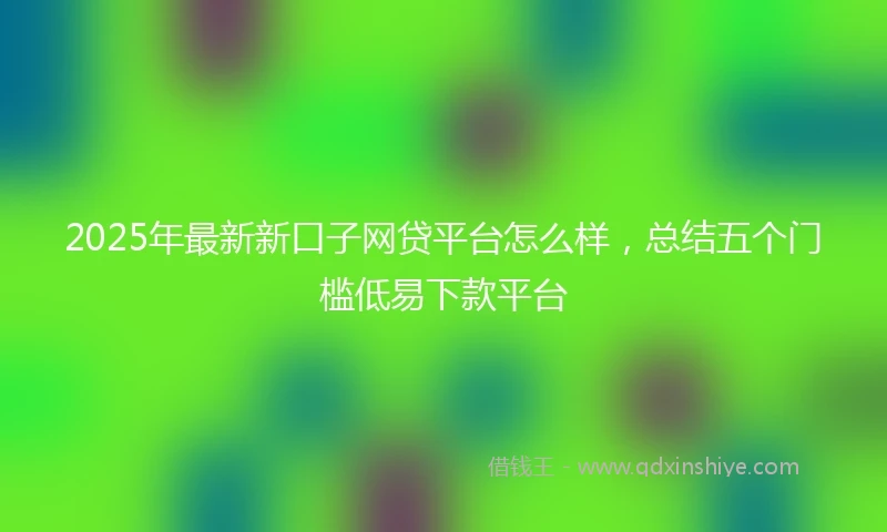 2025年最新新口子网贷平台怎么样，总结五个门槛低易下款平台