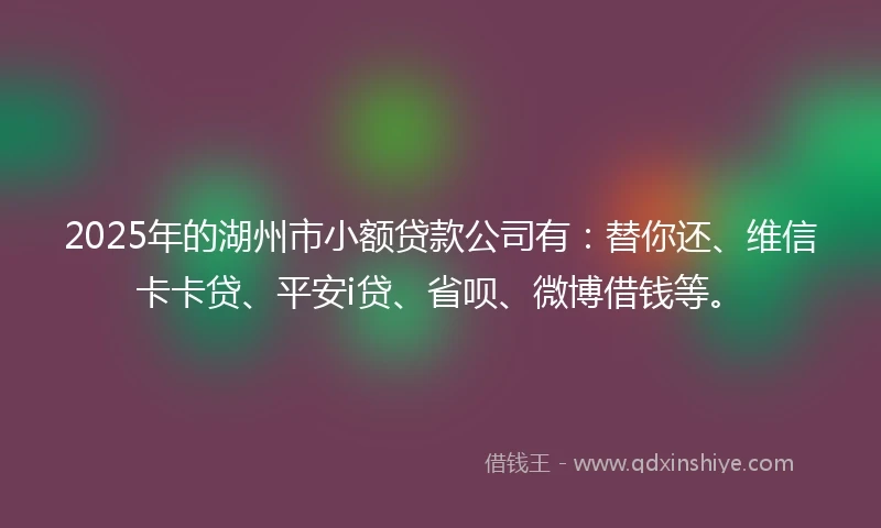 2025年的湖州市小额贷款公司有：替你还、维信卡卡贷、平安i贷、省呗、微博借钱等。