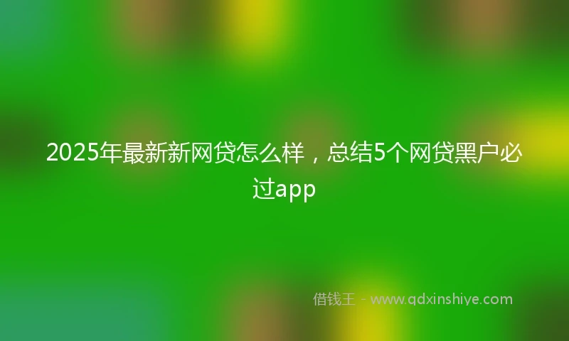 2025年最新新网贷怎么样，总结5个网贷黑户必过app