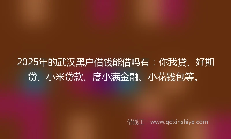 2025年的武汉黑户借钱能借吗有：你我贷、好期贷、小米贷款、度小满金融、小花钱包等。