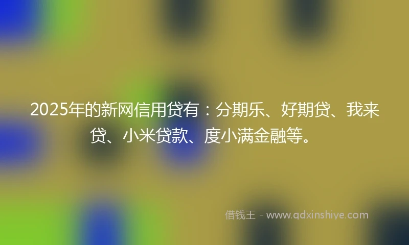 2025年的新网信用贷有：分期乐、好期贷、我来贷、小米贷款、度小满金融等。