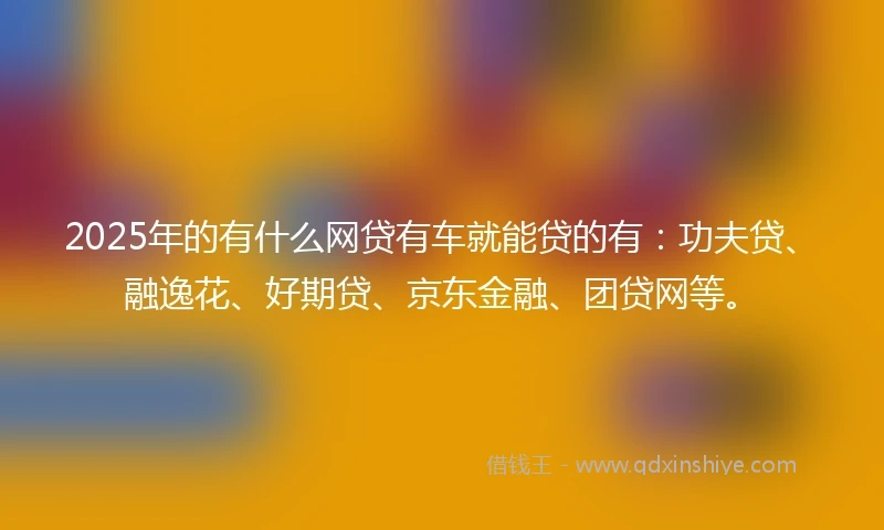 2025年的有什么网贷有车就能贷的有：功夫贷、融逸花、好期贷、京东金融、团贷网等。