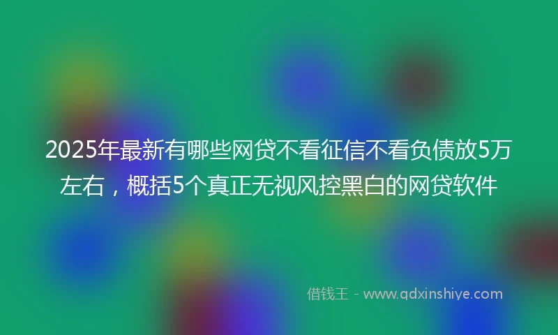 2025年最新有哪些网贷不看征信不看负债放5万左右,概括5个真正无视风控黑白的网贷软件