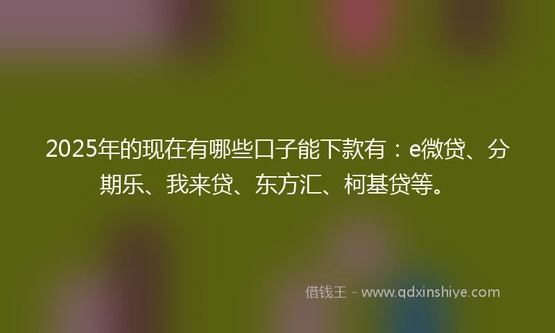 2025年的现在有哪些口子能下款有：e微贷、分期乐、我来贷、东方汇、柯基贷等。