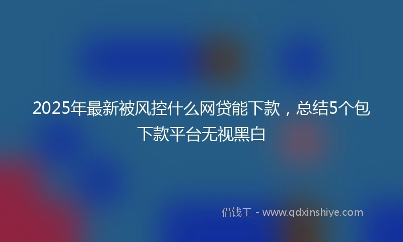 2025年最新被风控什么网贷能下款，总结5个包下款平台无视黑白