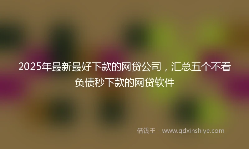 2025年最新最好下款的网贷公司，汇总五个不看负债秒下款的网贷软件