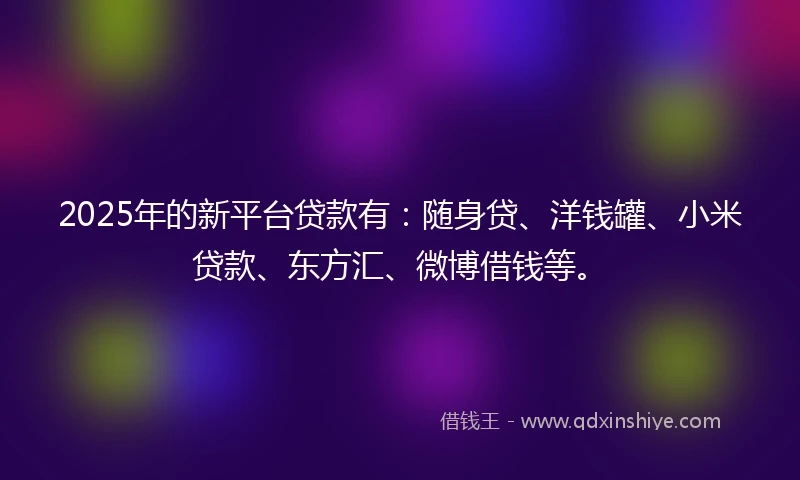 2025年的新平台贷款有：随身贷、洋钱罐、小米贷款、东方汇、微博借钱等。