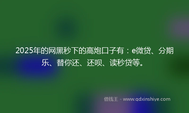 2025年的网黑秒下的高炮口子有：e微贷、分期乐、替你还、还呗、读秒贷等。