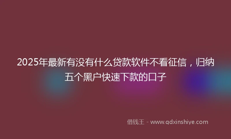 2025年最新有没有什么贷款软件不看征信，归纳五个黑户快速下款的口子