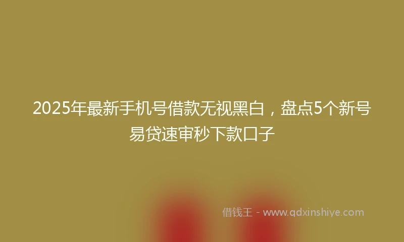 2025年最新手机号借款无视黑白，盘点5个新号易贷速审秒下款口子