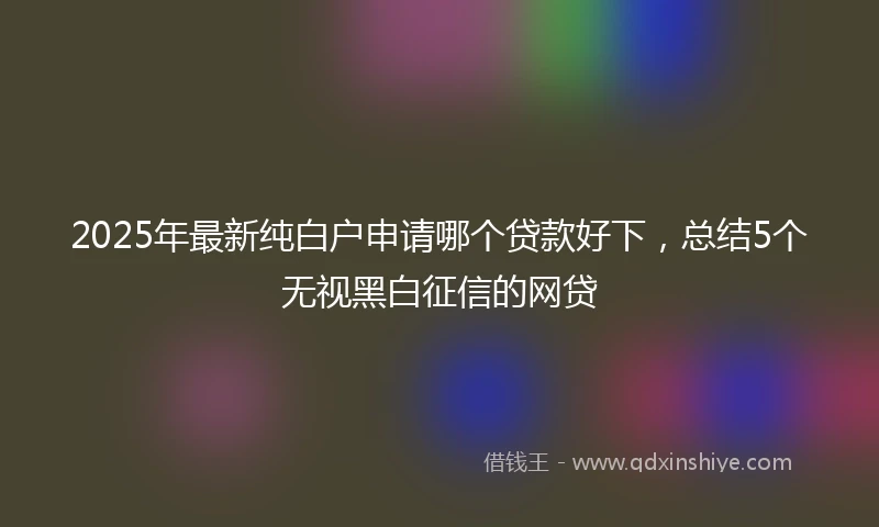 2025年最新纯白户申请哪个贷款好下，总结5个无视黑白征信的网贷