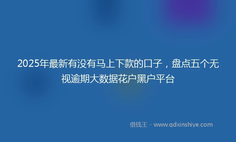 2025年最新有没有马上下款的口子，盘点五个无视逾期大数据花户黑户平台