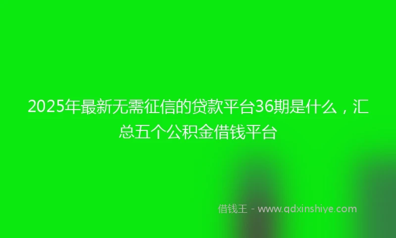 2025年最新无需征信的贷款平台36期是什么，汇总五个公积金借钱平台