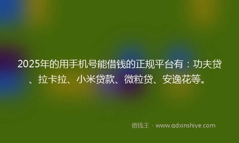 2025年的用手机号能借钱的正规平台有：功夫贷、拉卡拉、小米贷款、微粒贷、安逸花等。