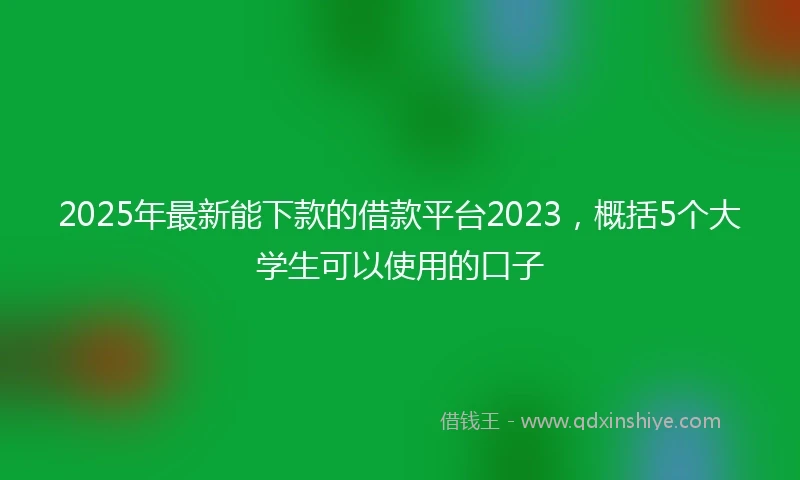 2025年最新能下款的借款平台2023，概括5个大学生可以使用的口子