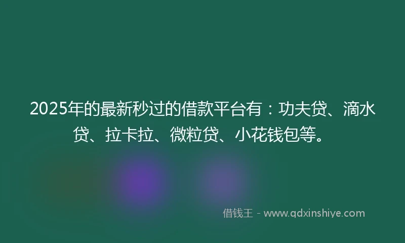 2025年的最新秒过的借款平台有：功夫贷、滴水贷、拉卡拉、微粒贷、小花钱包等。