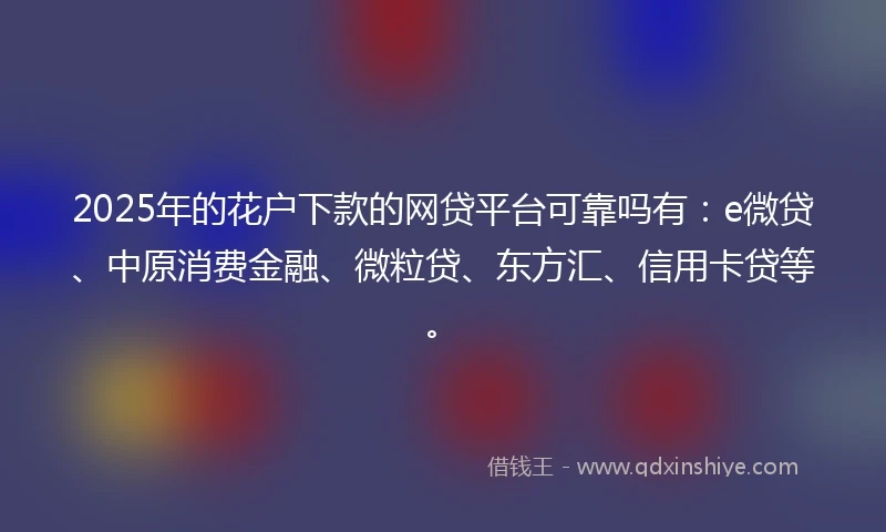 2025年的花户下款的网贷平台可靠吗有：e微贷、中原消费金融、微粒贷、东方汇、信用卡贷等。
