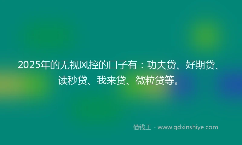 2025年的无视风控的口子有：功夫贷、好期贷、读秒贷、我来贷、微粒贷等。
