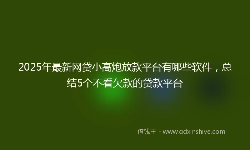 2025年最新网贷小高炮放款平台有哪些软件，总结5个不看欠款的贷款平台