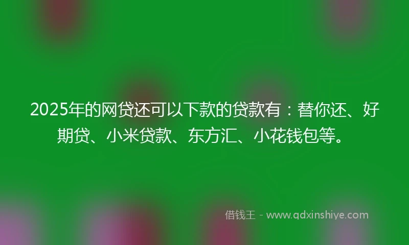 2025年的网贷还可以下款的贷款有：替你还、好期贷、小米贷款、东方汇、小花钱包等。