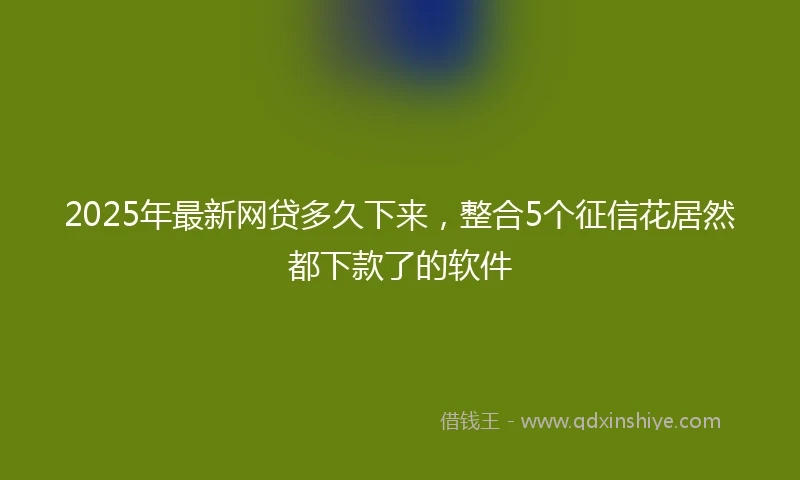 2025年最新网贷多久下来，整合5个征信花居然都下款了的软件