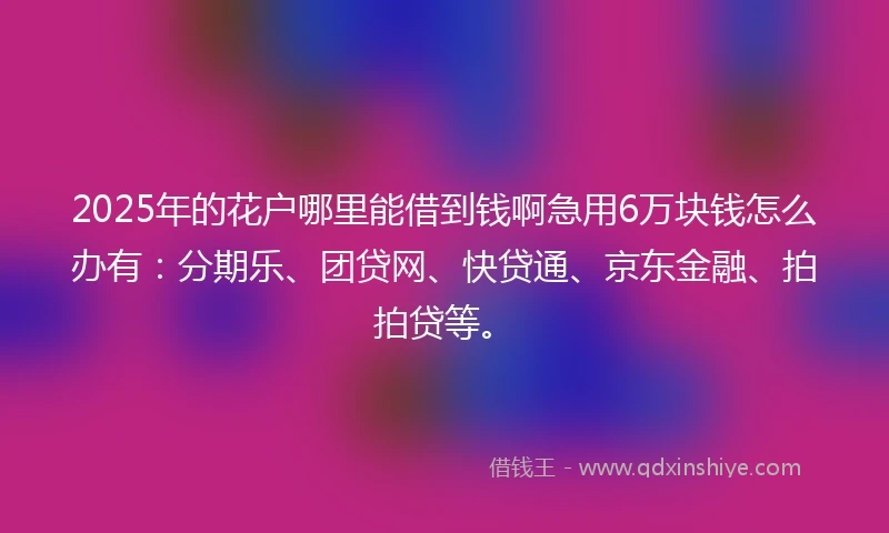 2025年的花户哪里能借到钱啊急用6万块钱怎么办有：分期乐、团贷网、快贷通、京东金融、拍拍贷等。