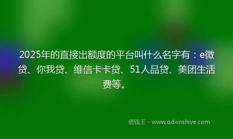 2025年的直接出额度的平台叫什么名字有：e微贷、你我贷、维信卡卡贷、51人品贷、美团生活费等。