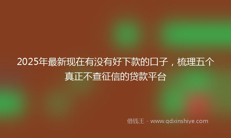 2025年最新现在有没有好下款的口子，梳理五个真正不查征信的贷款平台