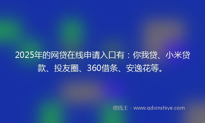 2025年的网贷在线申请入口有：你我贷、小米贷款、投友圈、360借条、安逸花等。