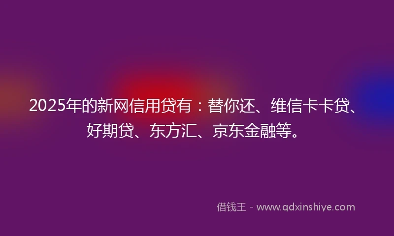 2025年的新网信用贷有：替你还、维信卡卡贷、好期贷、东方汇、京东金融等。