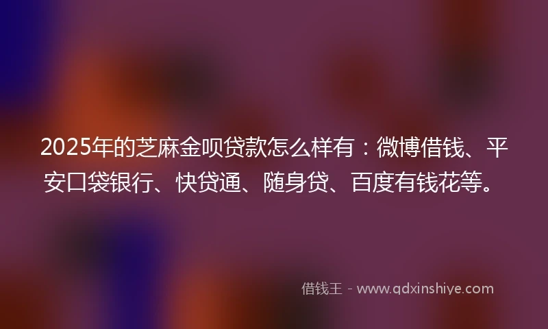 2025年的芝麻金呗贷款怎么样有：微博借钱、平安口袋银行、快贷通、随身贷、百度有钱花等。