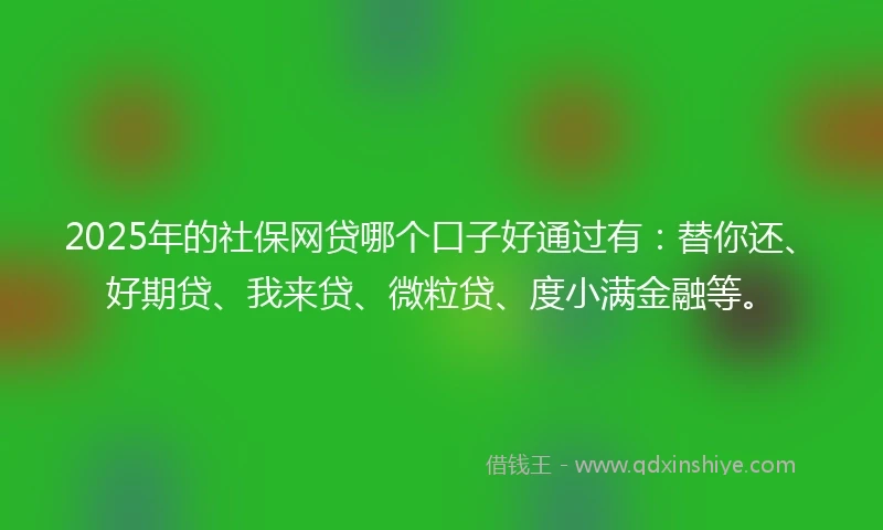 2025年的社保网贷哪个口子好通过有：替你还、好期贷、我来贷、微粒贷、度小满金融等。