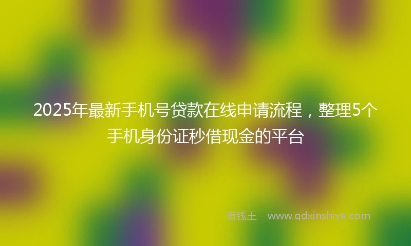 2025年最新手机号贷款在线申请流程，整理5个手机身份证秒借现金的平台