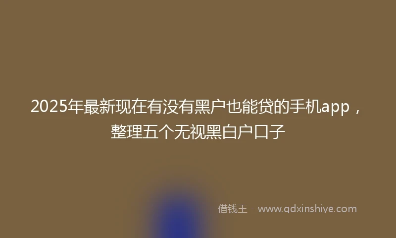 2025年最新现在有没有黑户也能贷的手机app，整理五个无视黑白户口子