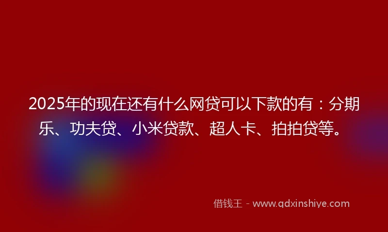 2025年的现在还有什么网贷可以下款的有：分期乐、功夫贷、小米贷款、超人卡、拍拍贷等。