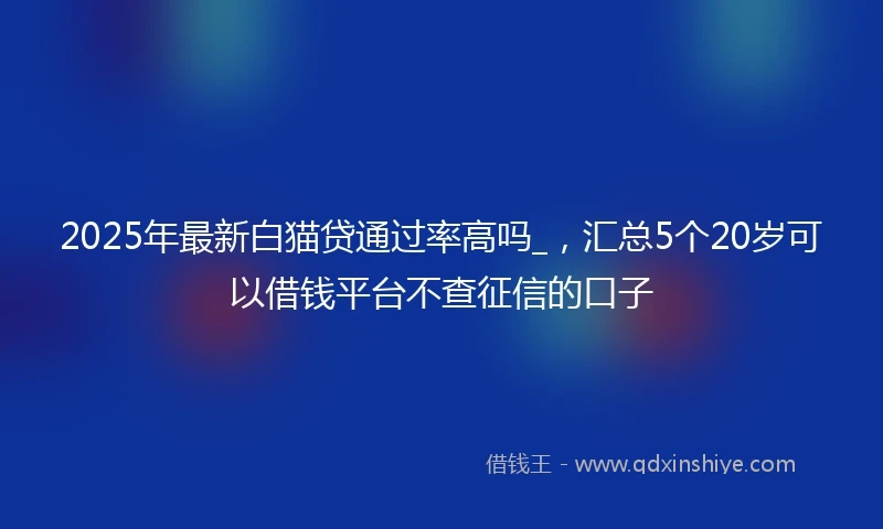 2025年最新白猫贷通过率高吗_，汇总5个20岁可以借钱平台不查征信的口子