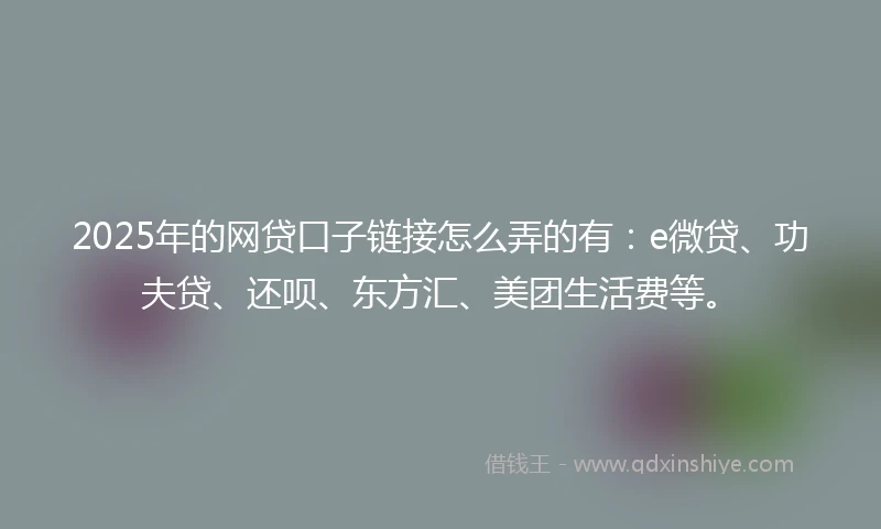 2025年的网贷口子链接怎么弄的有：e微贷、功夫贷、还呗、东方汇、美团生活费等。