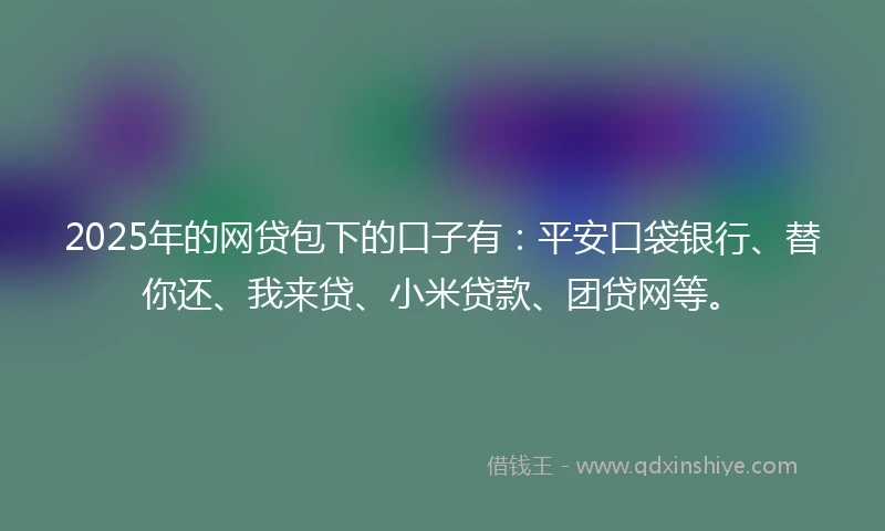 2025年的网贷包下的口子有：平安口袋银行、替你还、我来贷、小米贷款、团贷网等。