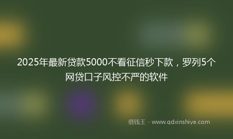 2025年最新贷款5000不看征信秒下款，罗列5个网贷口子风控不严的软件