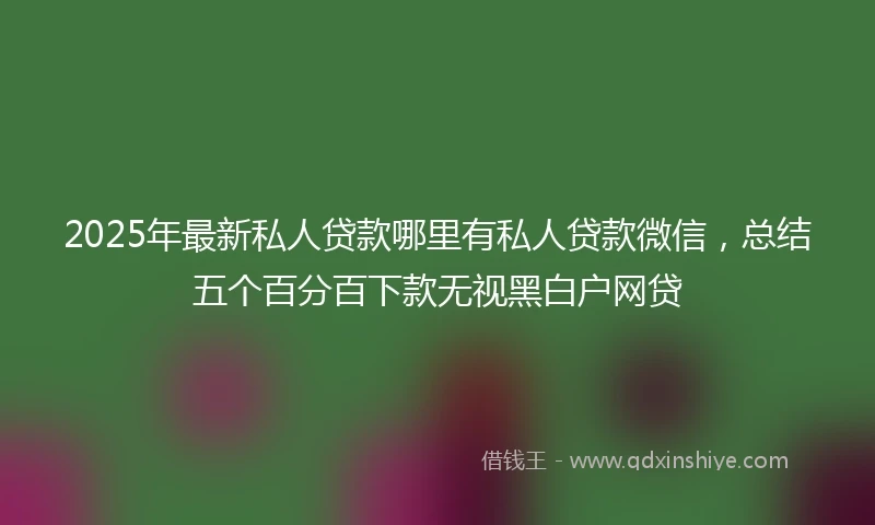 2025年最新私人贷款哪里有私人贷款微信，总结五个百分百下款无视黑白户网贷
