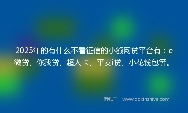 2025年的有什么不看征信的小额网贷平台有：e微贷、你我贷、超人卡、平安i贷、小花钱包等。