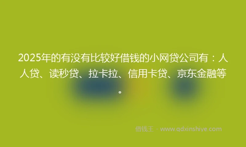 2025年的有没有比较好借钱的小网贷公司有：人人贷、读秒贷、拉卡拉、信用卡贷、京东金融等。