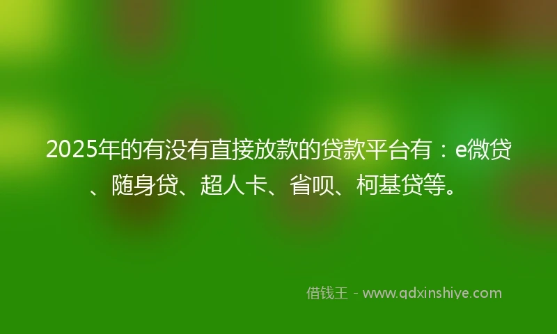 2025年的有没有直接放款的贷款平台有：e微贷、随身贷、超人卡、省呗、柯基贷等。